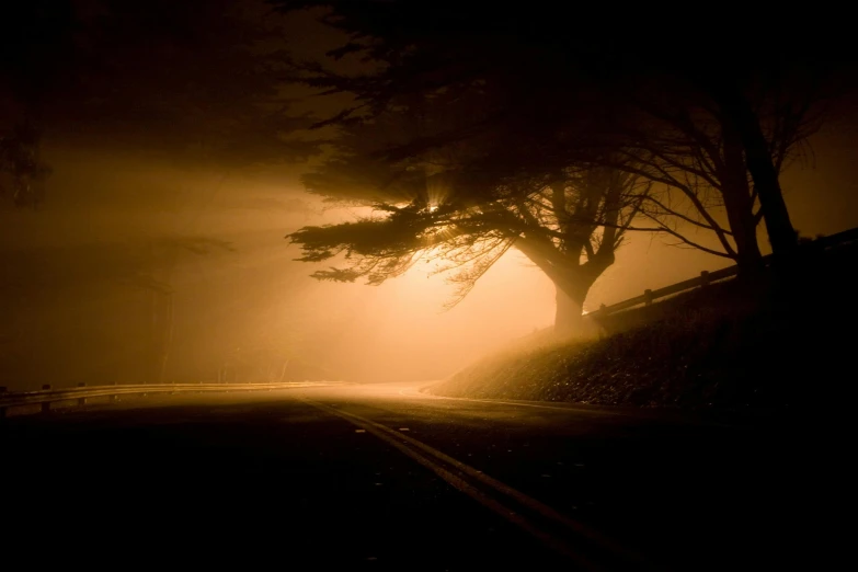 trees are silhouetted in the fog on a dark road