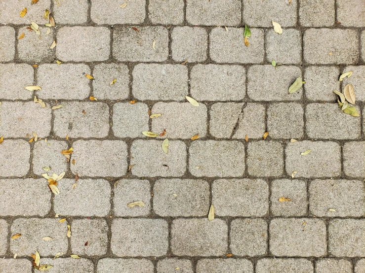 an old brick wall has a thin bit of grass growing between it