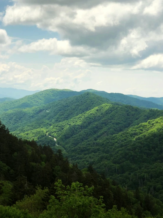 trees and mountains are shown with clouds above them