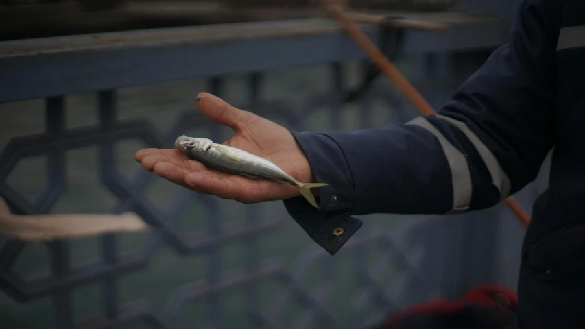 the small fish is being held in someones hand