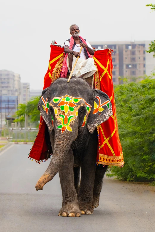 an elephant carrying a man is in the road