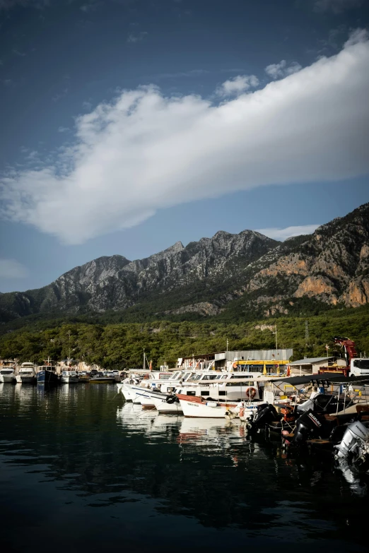 a harbor with many boats and mountains in the background