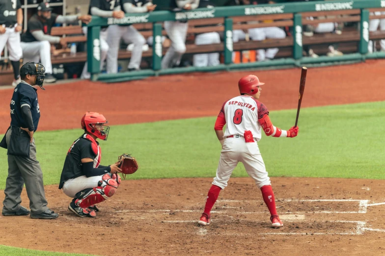 a man with a baseball bat standing in a field