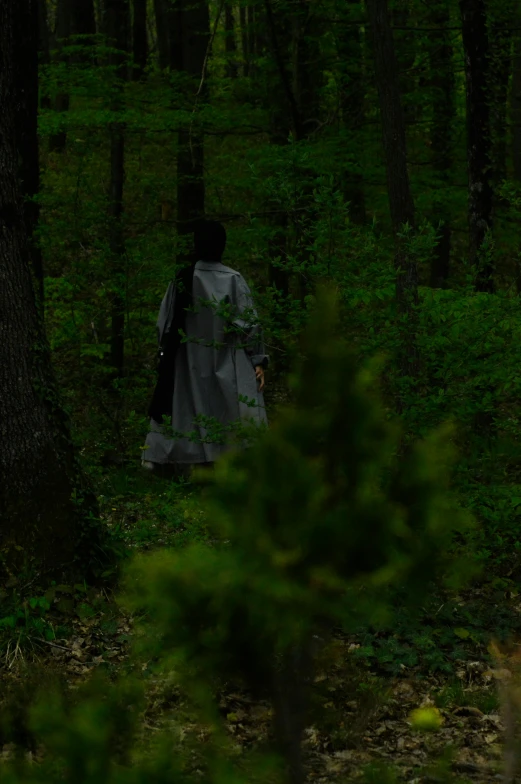 a person in grey coat walking through a forest