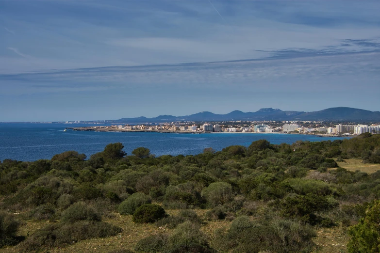 the ocean and a town line in a forested area