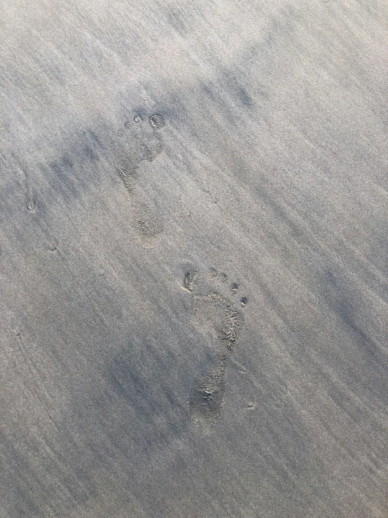 a close up of a bird footprints in the snow