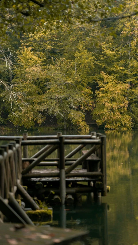 the wooden walkway crosses over water into the woods