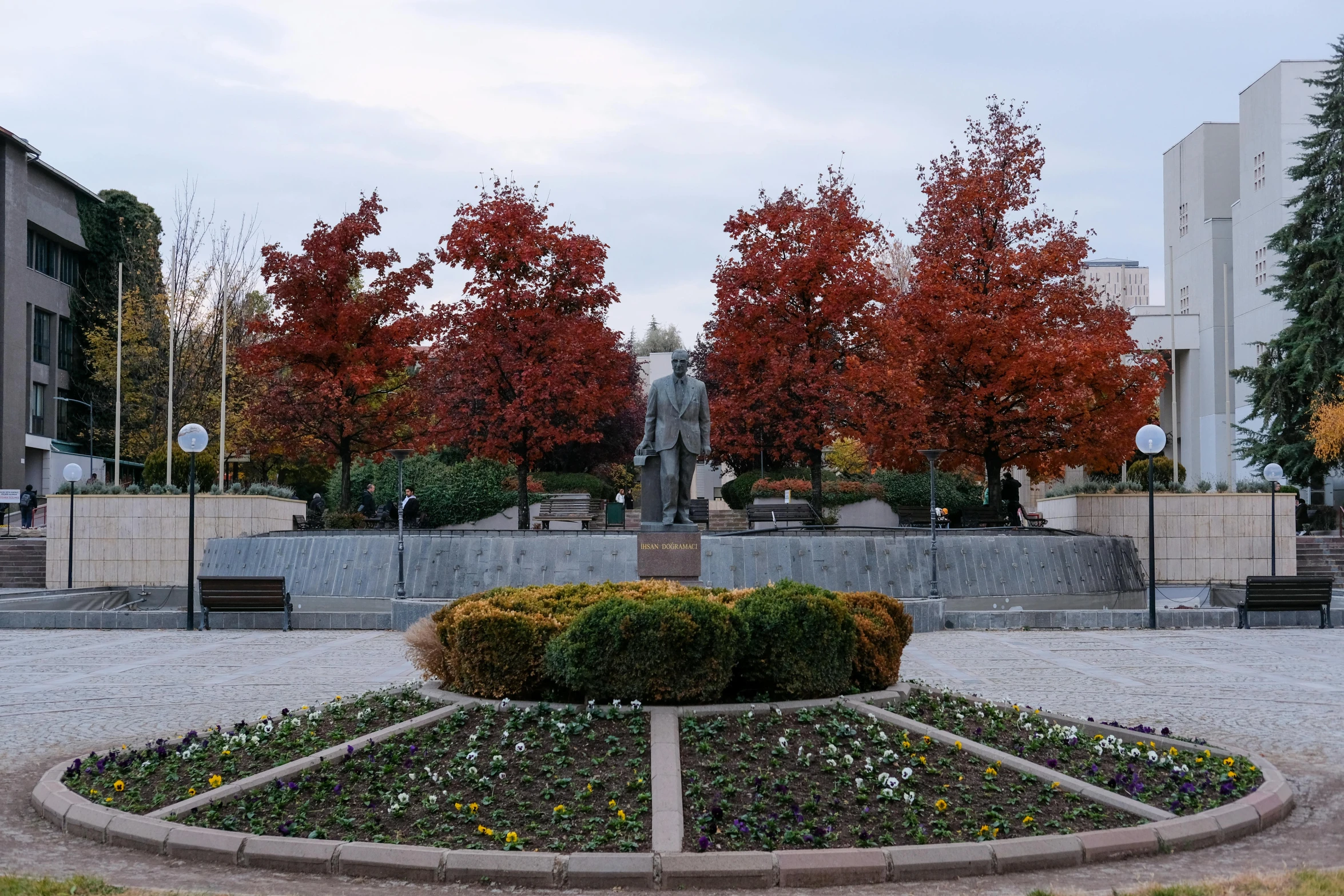 a view of a circular planter in the middle of the ground