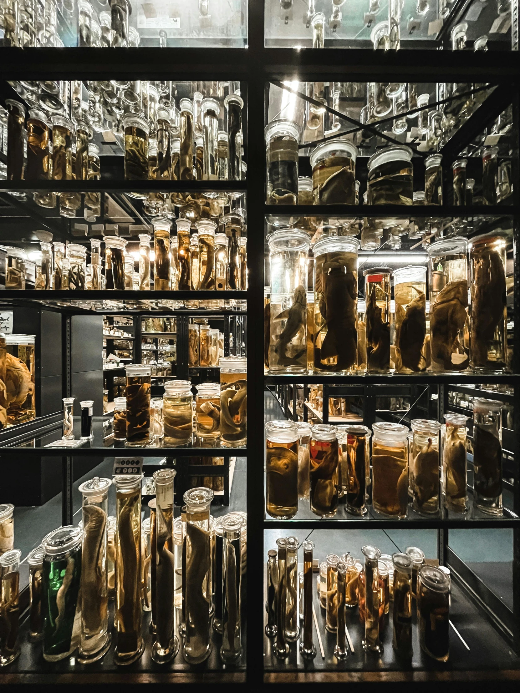 various items inside a glass case in a store