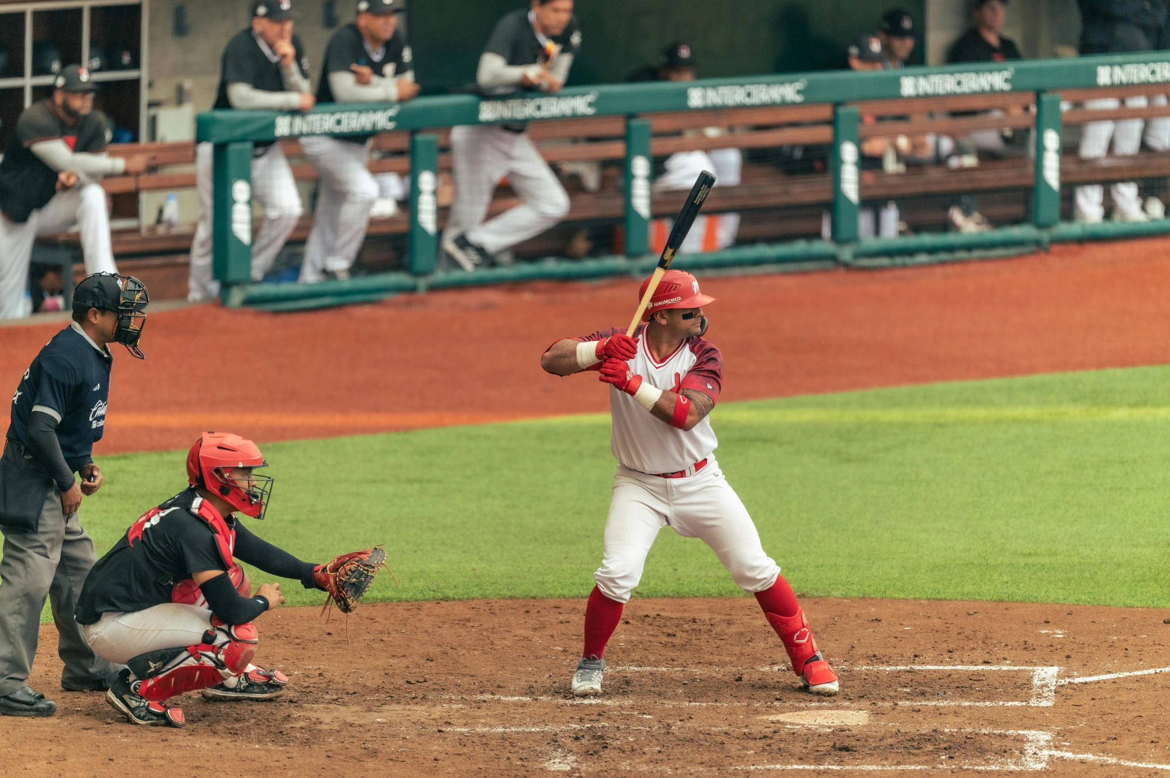 a man is holding a baseball bat during a game