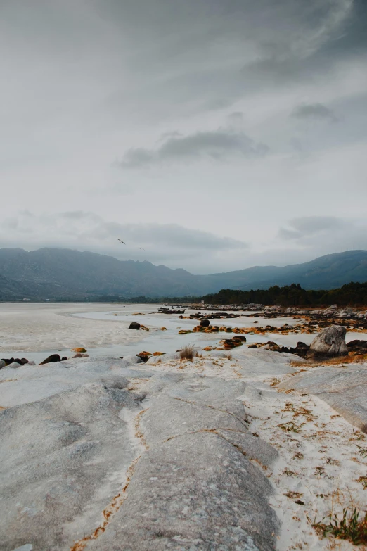 a po with a bunch of rocks on the beach and water