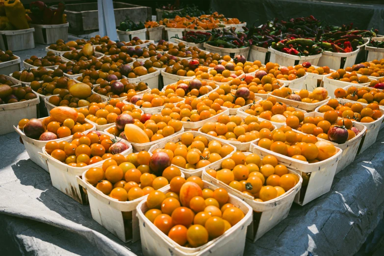 fruits with various varieties and types of oranges in a market