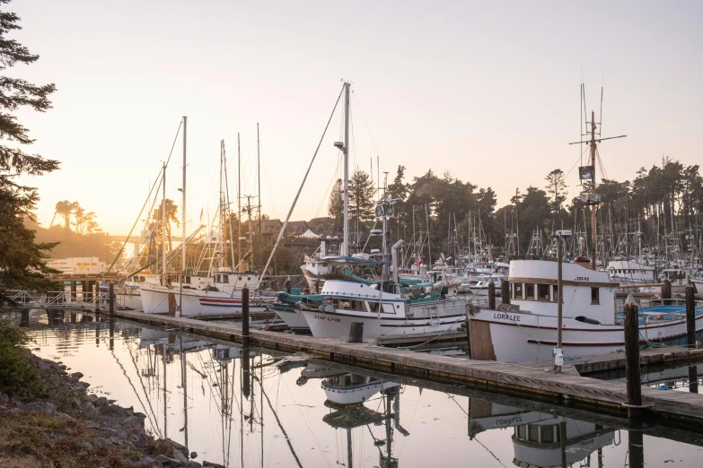 a harbor with lots of boats tied to it