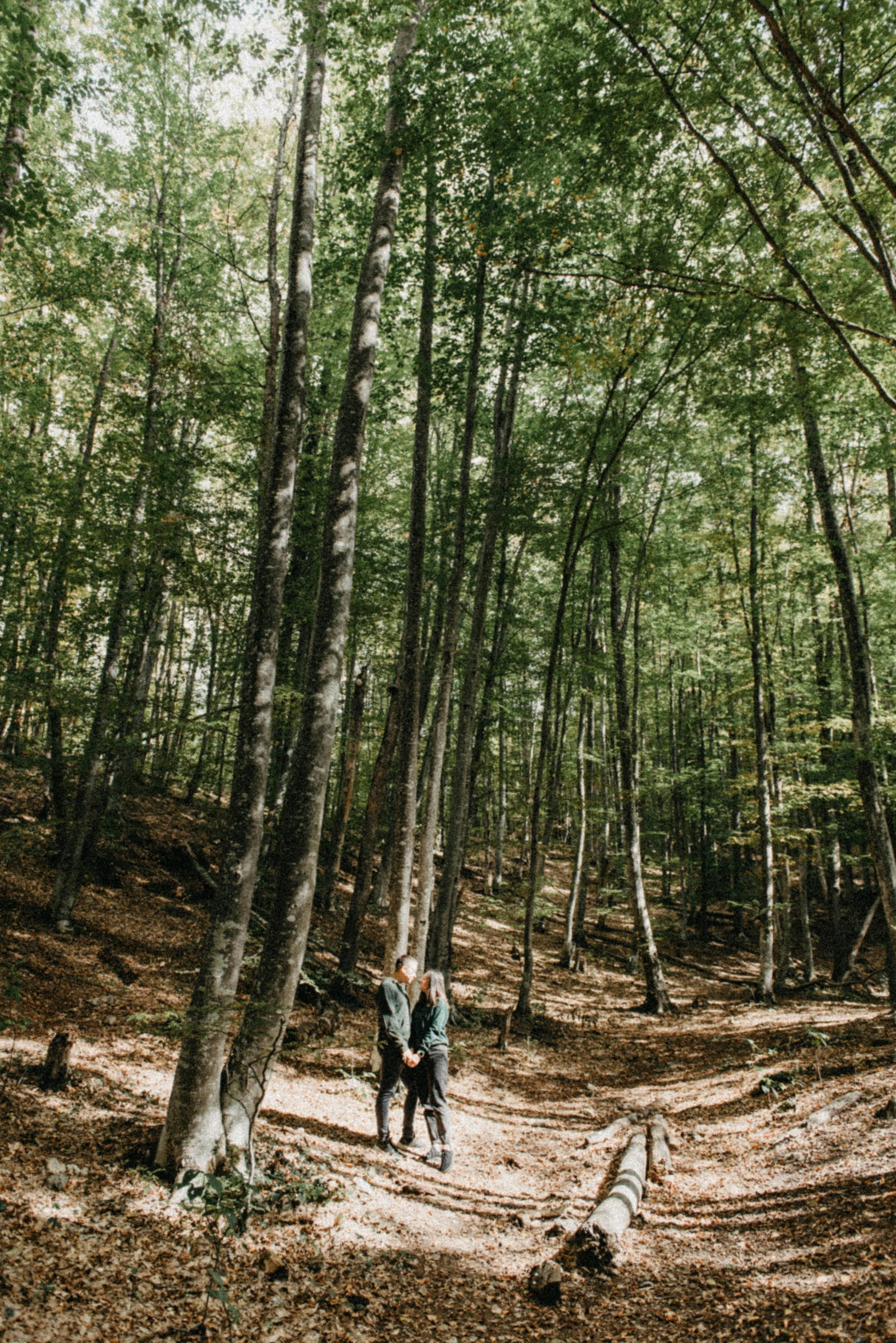 couple walking through the woods surrounded by large trees