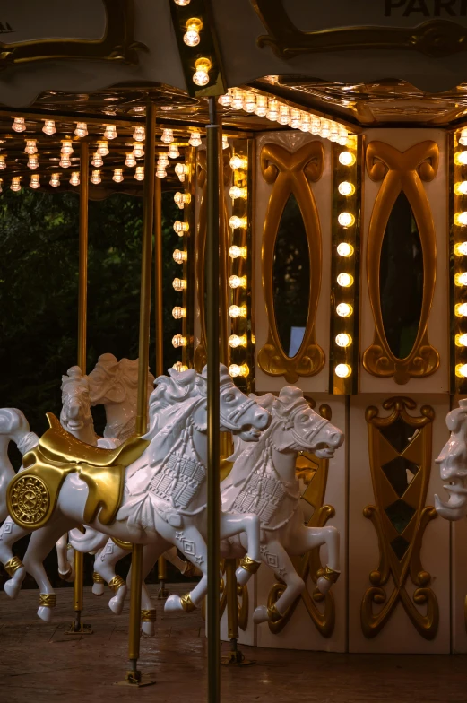 a merry go round at night with carousels in the background