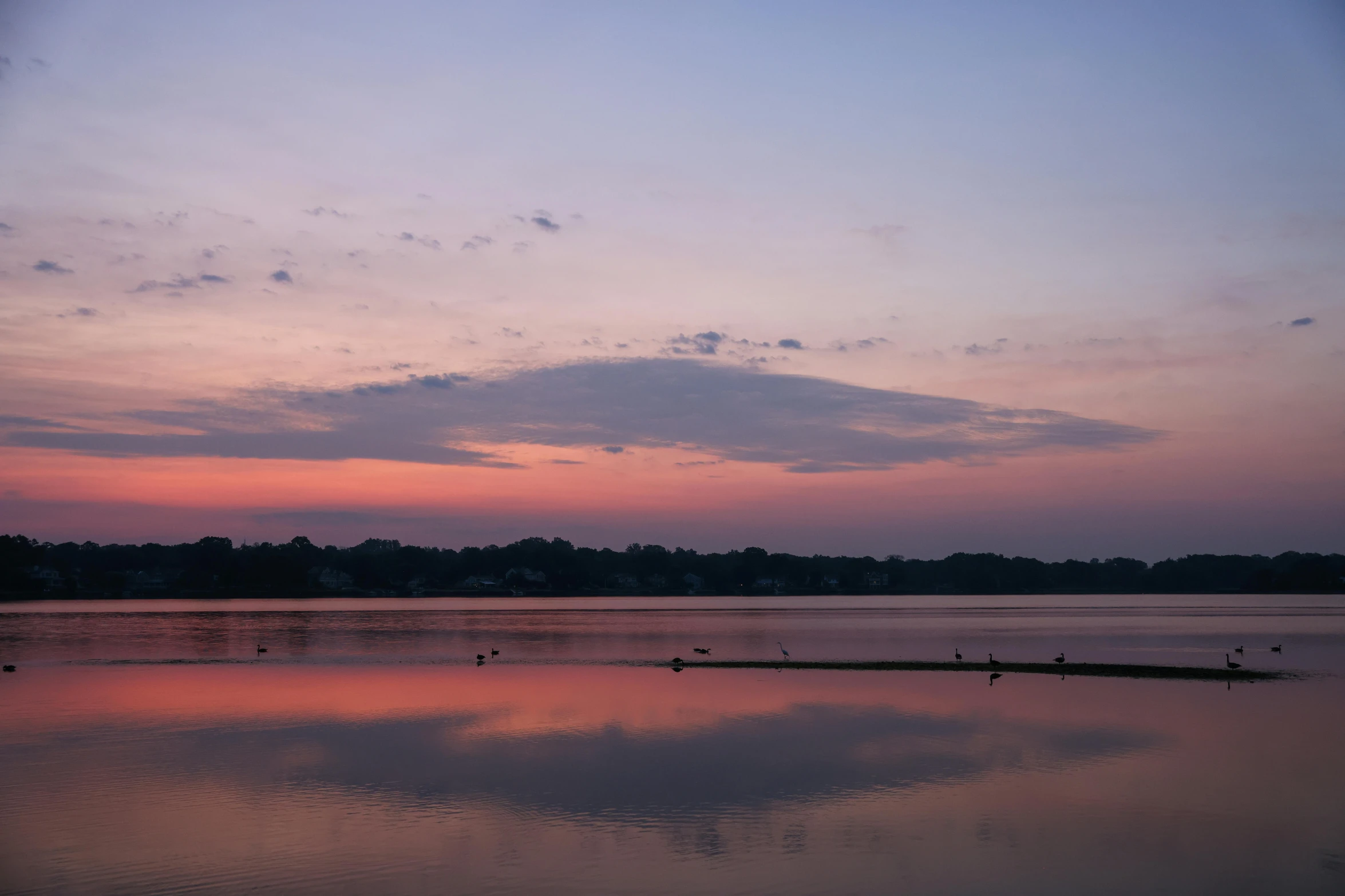 a colorful sunset and a bird flying over the water