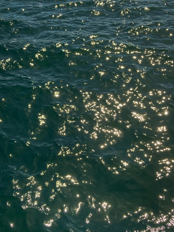 the light reflects on the water and reflects off the surface