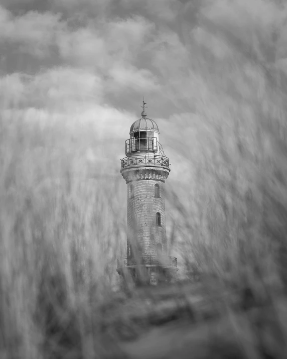 a lighthouse tower is surrounded by thick vegetation