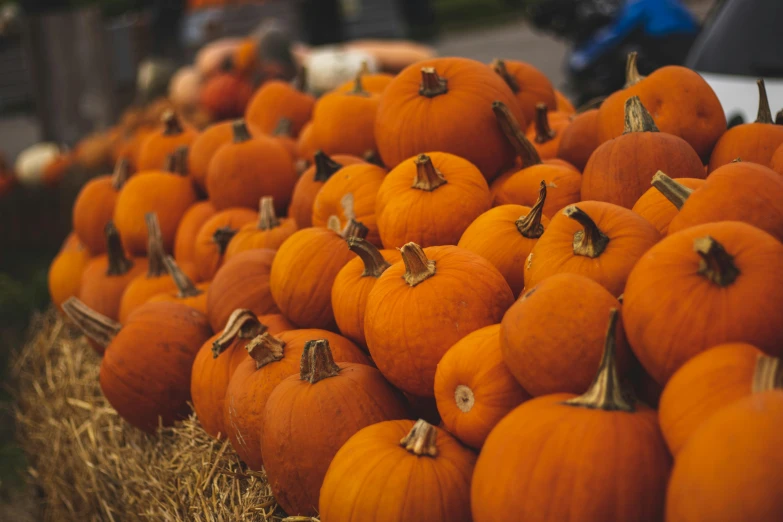 a row of pumpkins sitting on hay