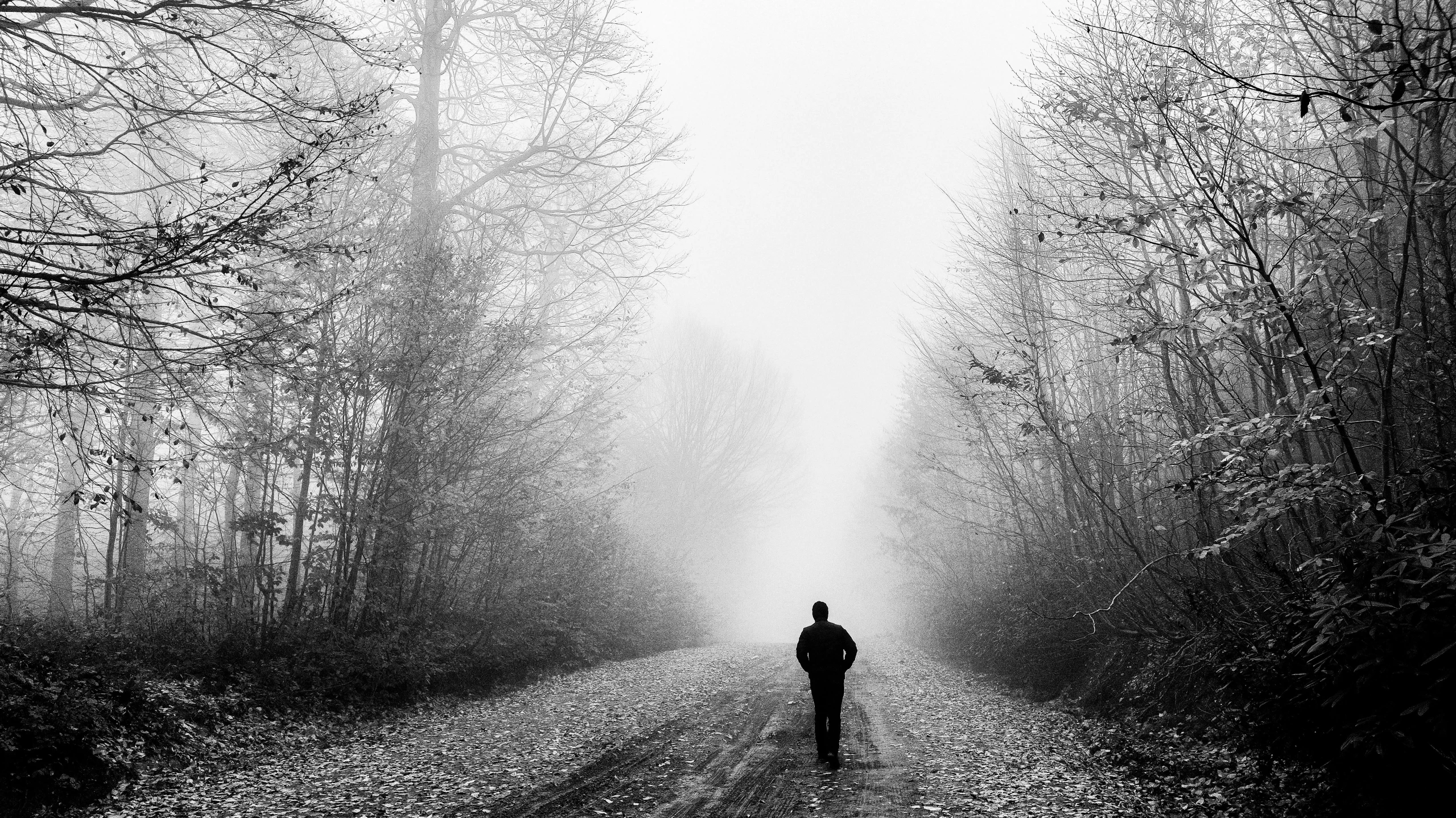 man walking on a dark path in the woods