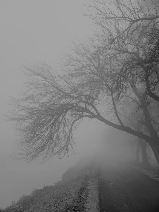 a road passing through the fog in a rural area
