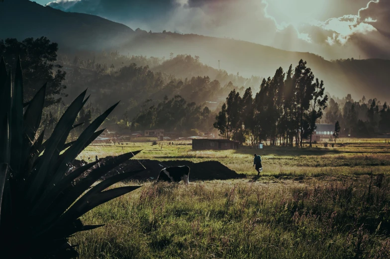 a lone man stands in the middle of a pasture near mountains