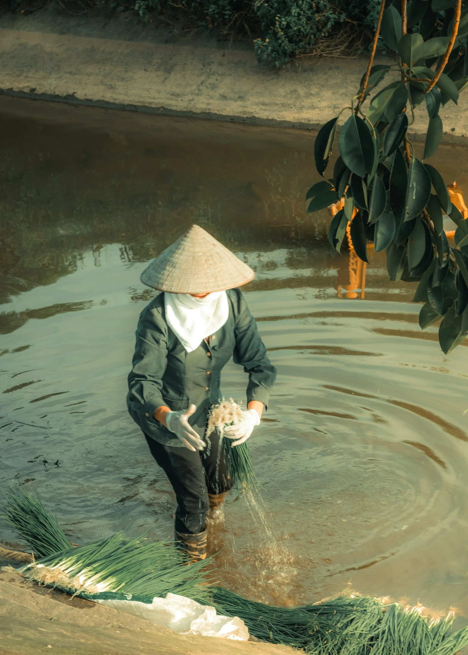 a person that is in some water with grass