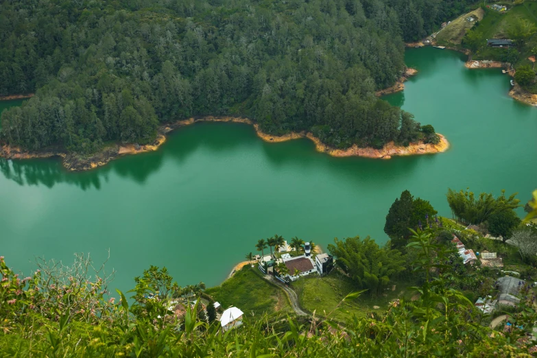a large blue lake surrounded by forest on top of a hill
