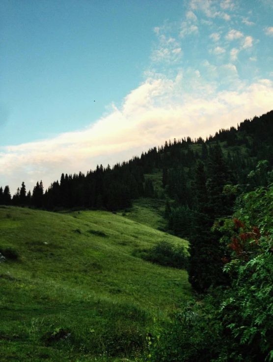 the sky is very cloudy over a lush green mountain