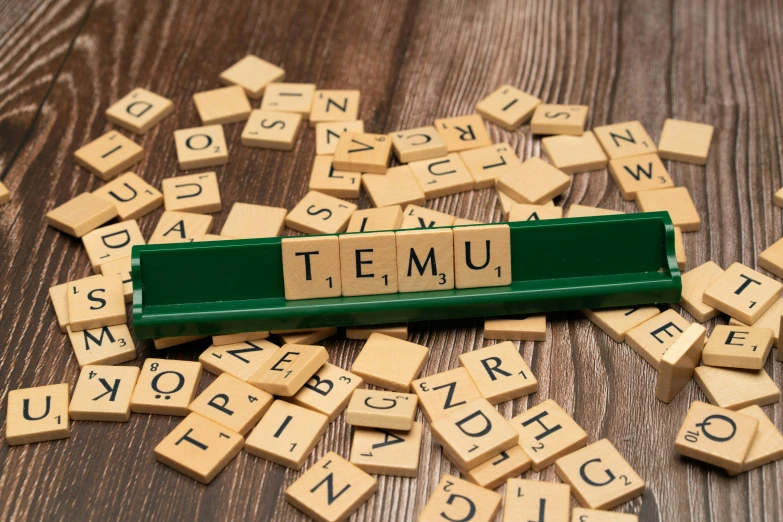 a wooden word tile that says temo written with wood letters