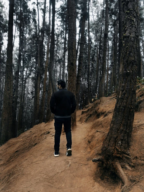 a man walking alone down the path in a forest