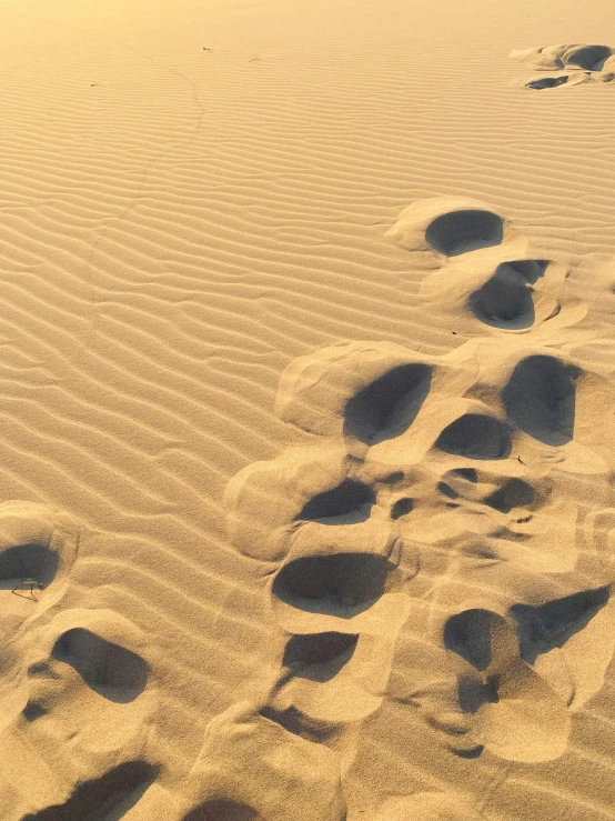 a very long beach with footprints on it