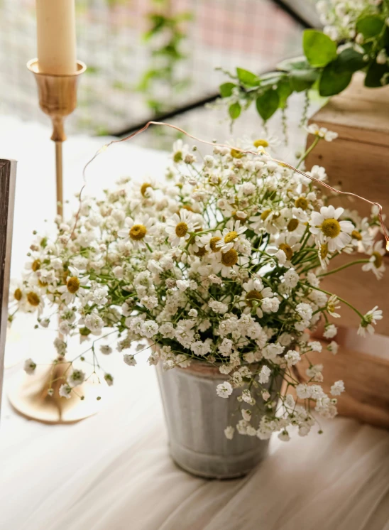 a white potted plant sitting on top of a wooden table