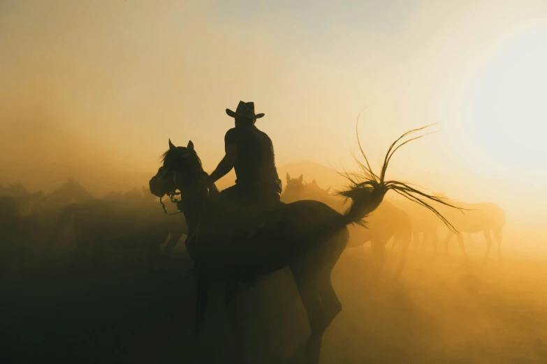 silhouetted cowboy riding horse next to a group of wildebeests