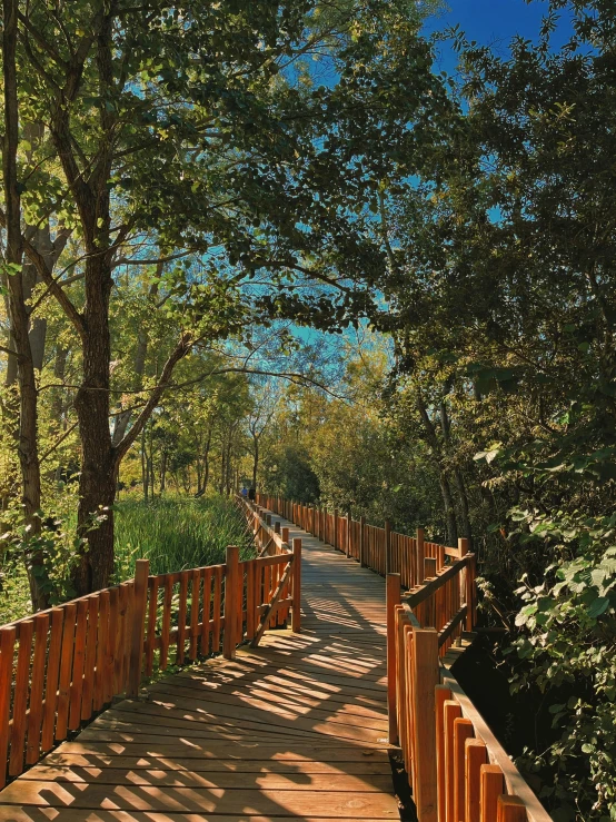 a wooden path leading to trees, water and mountains