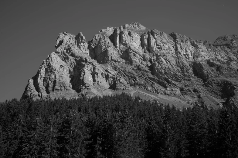 a tall mountain covered in trees and lots of snow