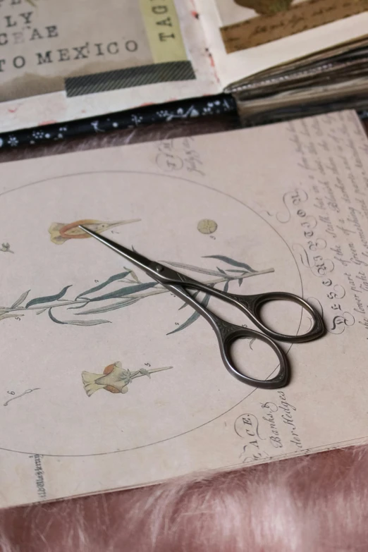 a pair of scissors is sitting on top of a book