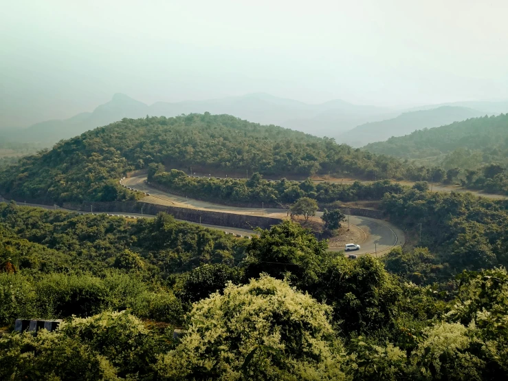 an intersection on the edge of a forested area