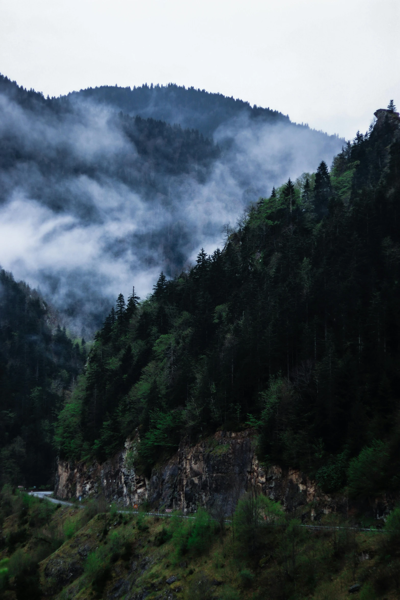 a bus travels down the highway surrounded by fog