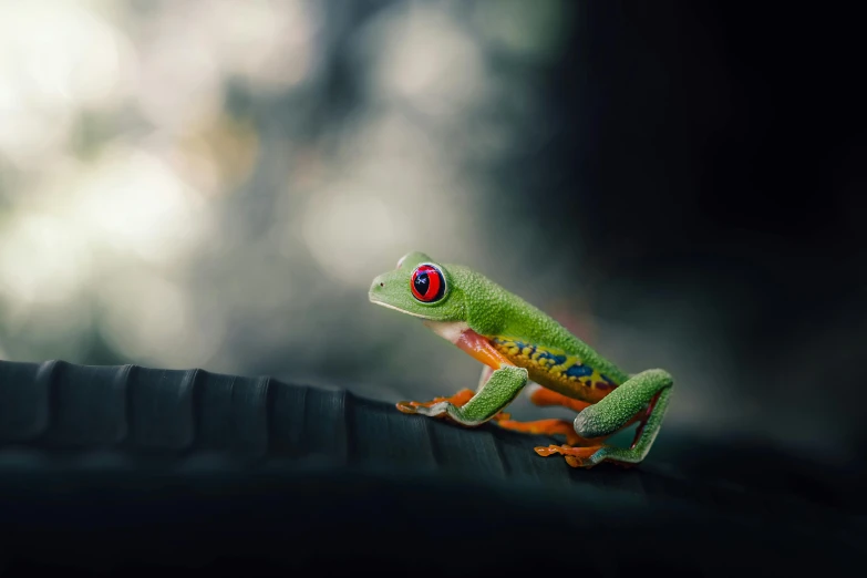 a green frog with a red eye on its back and yellow legs