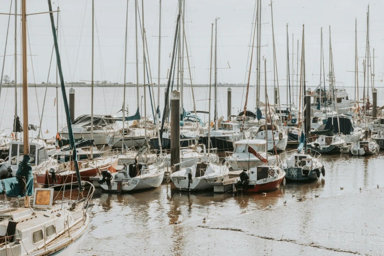 a bunch of boats that are in the water