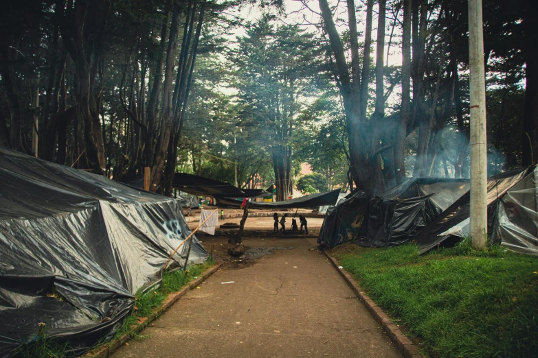 tents are pitched up outside in the forest