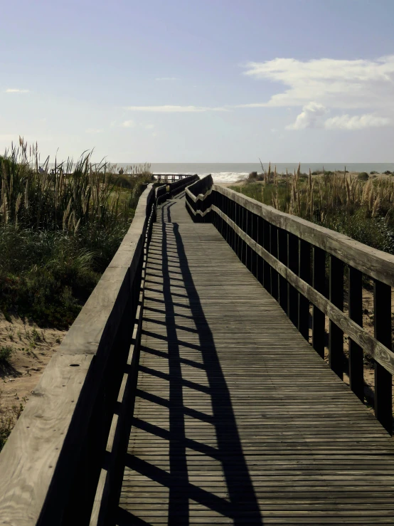 people on a bridge overlooking the ocean at low tide