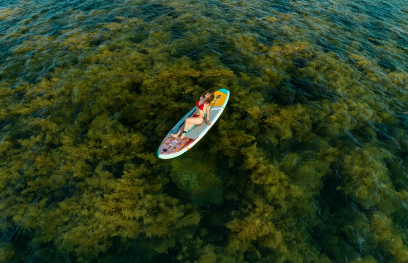 a person riding a paddle boat in the middle of a body of water