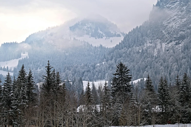 a snowy mountain range is in the distance