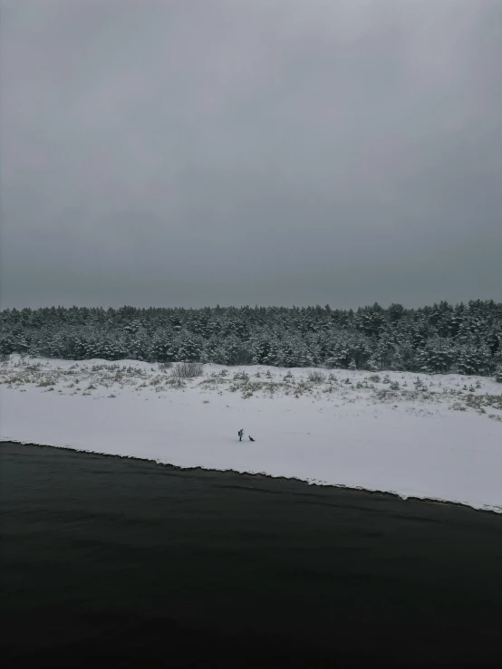 a lonely, cold - snow - covered beach with an ocean horizon and low - hanging tree line