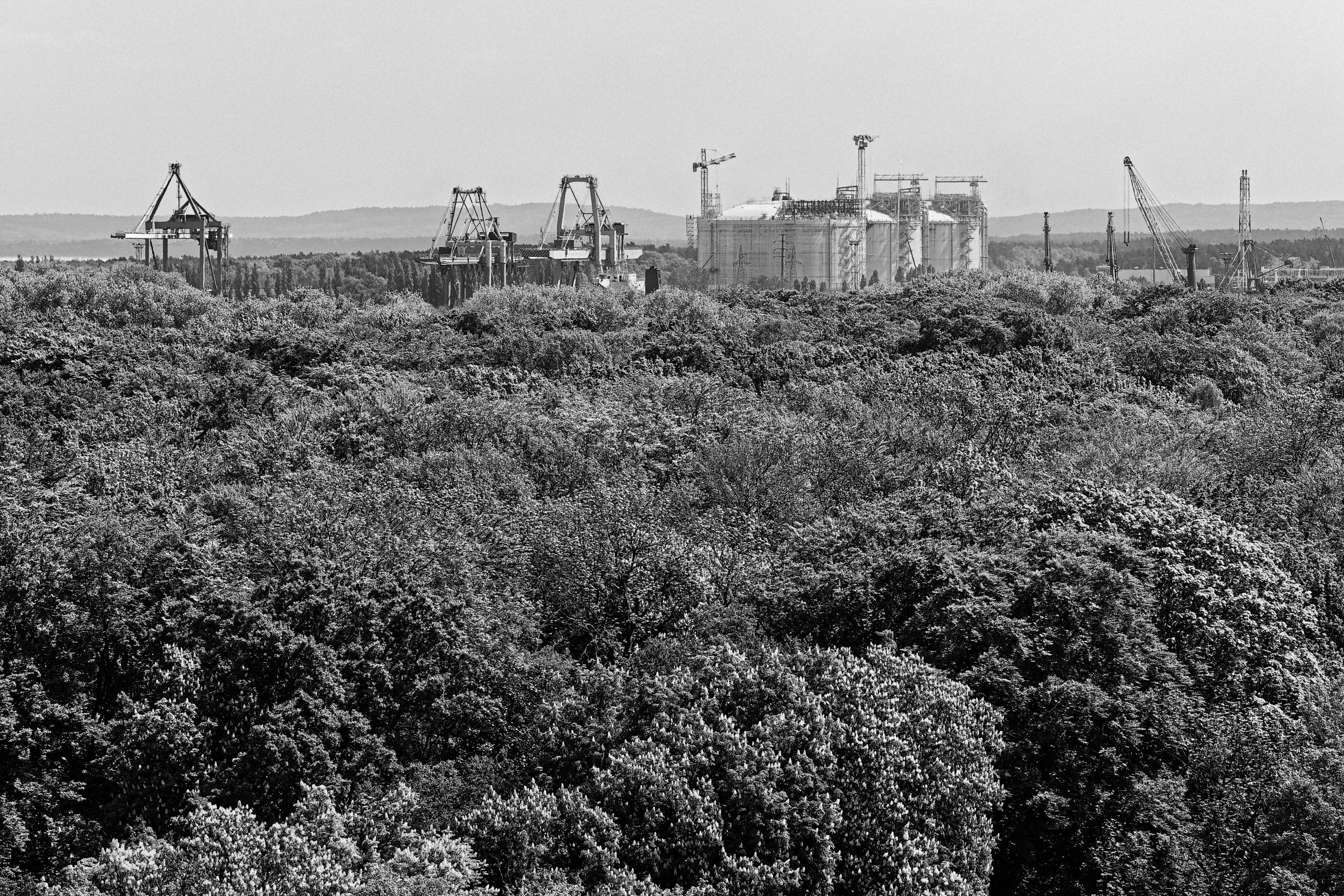 there is some kind of sky line on a black and white background