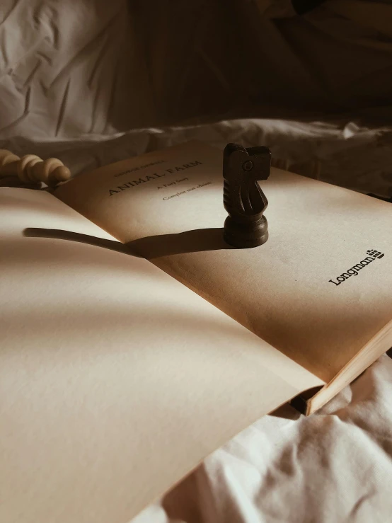 a picture of a book and a toothbrush on a bed