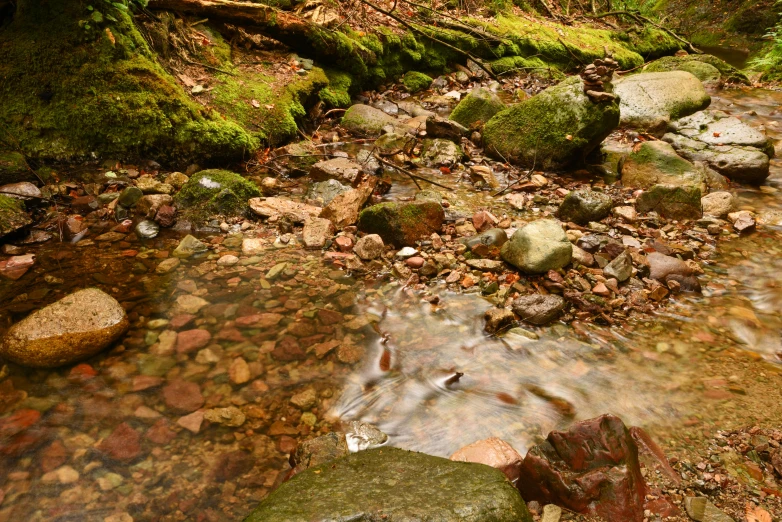 a stream with green moss growing on top of rocks and some trees