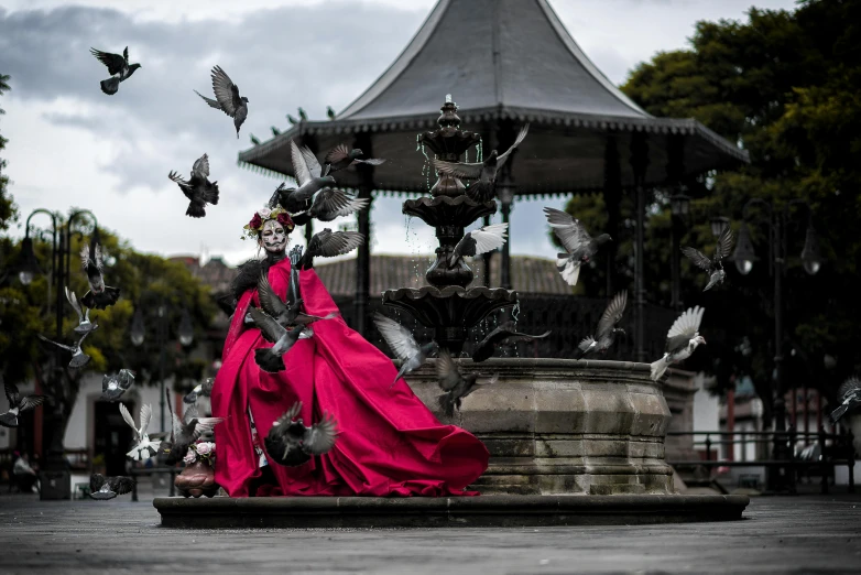 a woman in a pink dress with birds flying over her